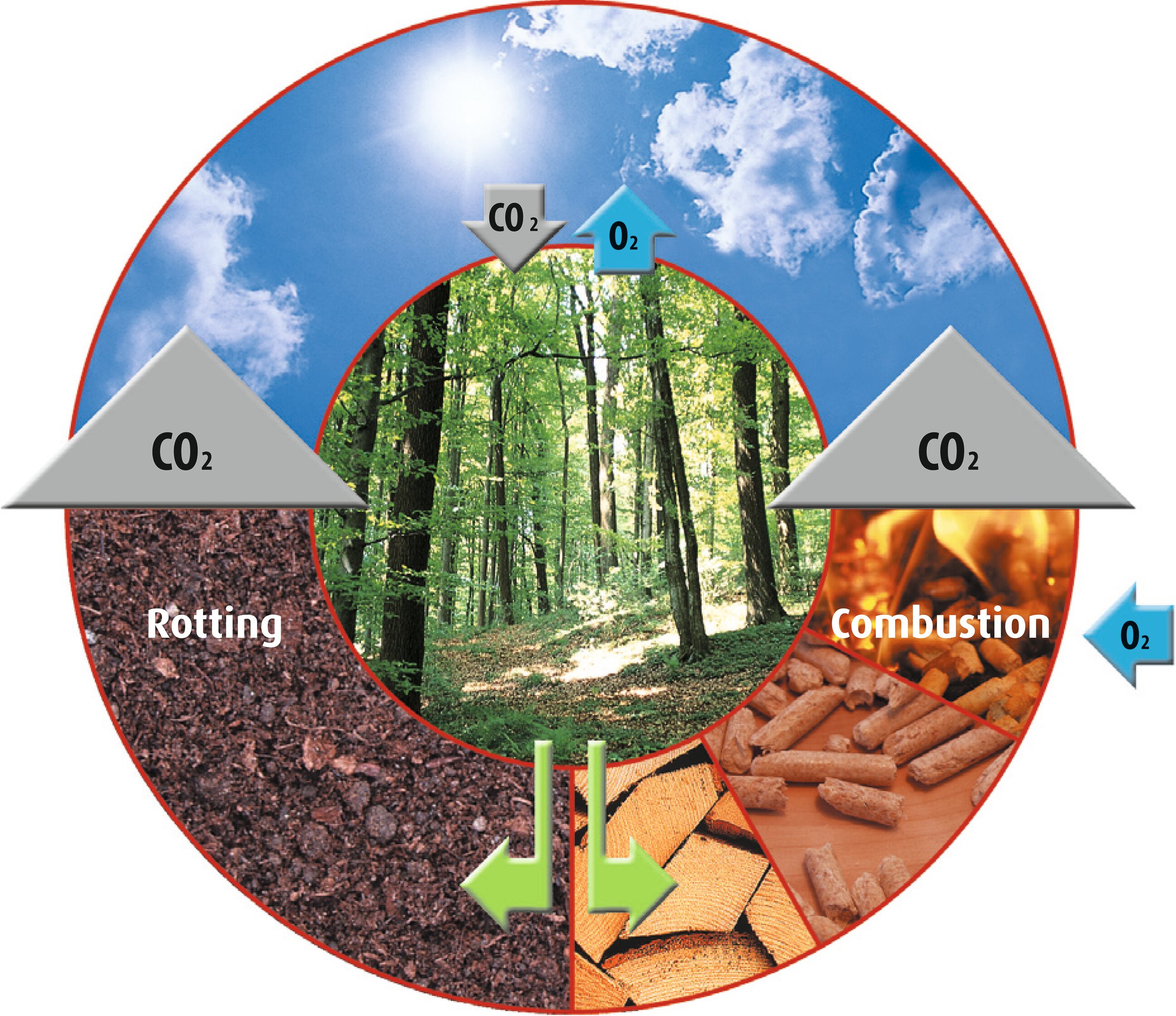 What is biomass wood fuel?